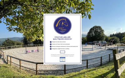 Nos labellisés vous en parlent !