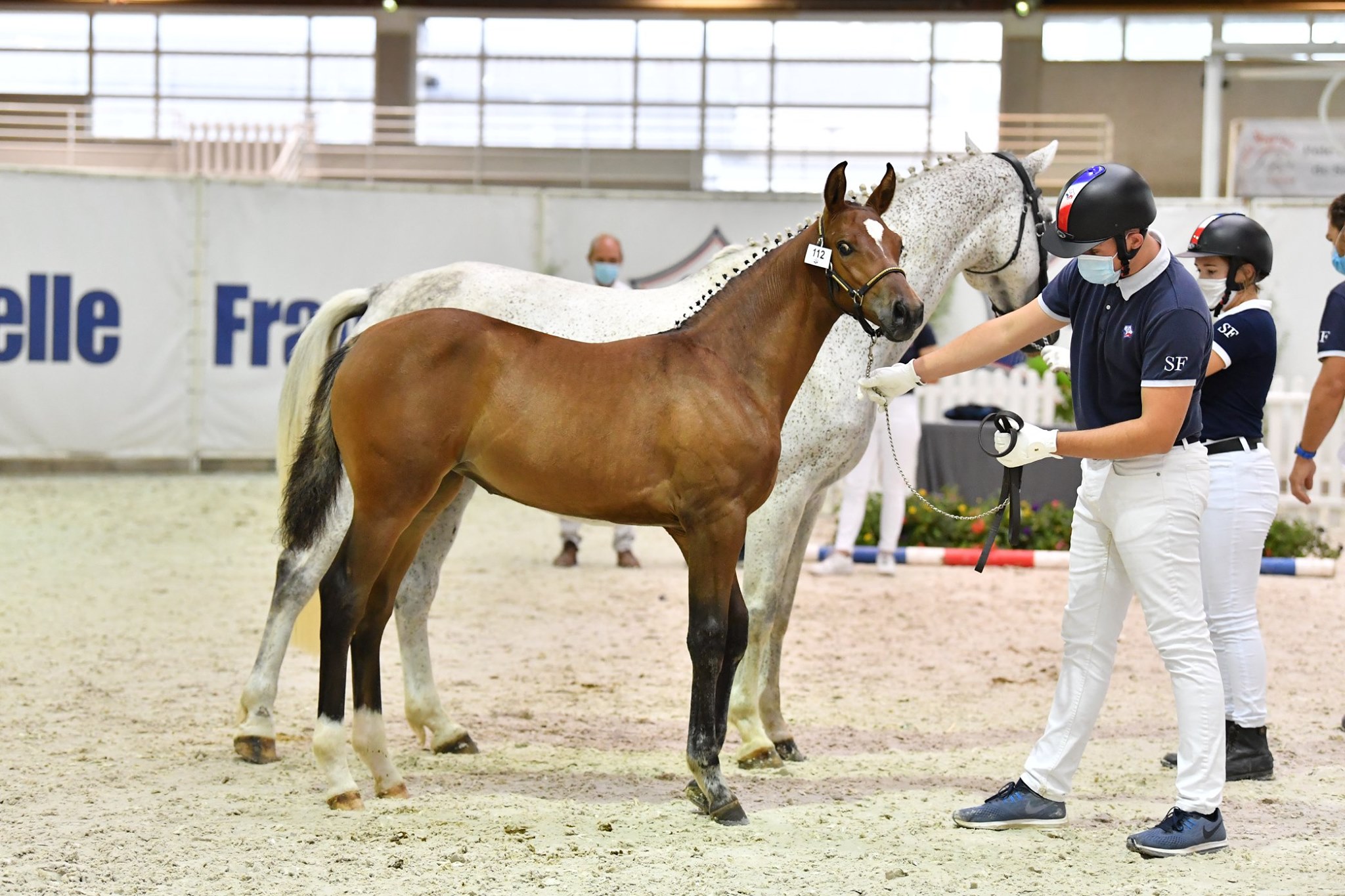 Un formidable palmares pour les foals de la région Céntre Val de Loire lors de la finale de St Lô