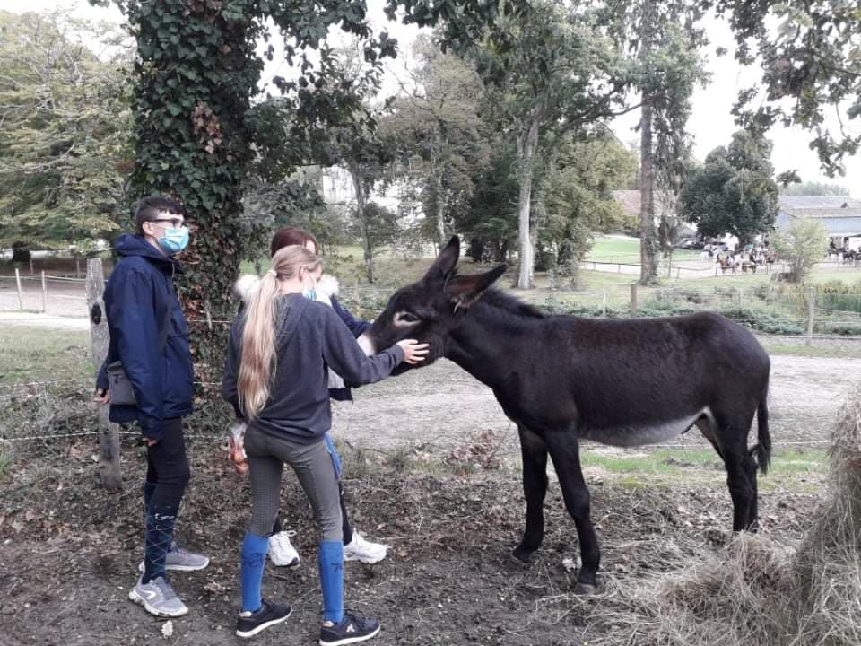 Des ânes Grands Noirs du Berry au lycée de Saint Cyran du Jambot