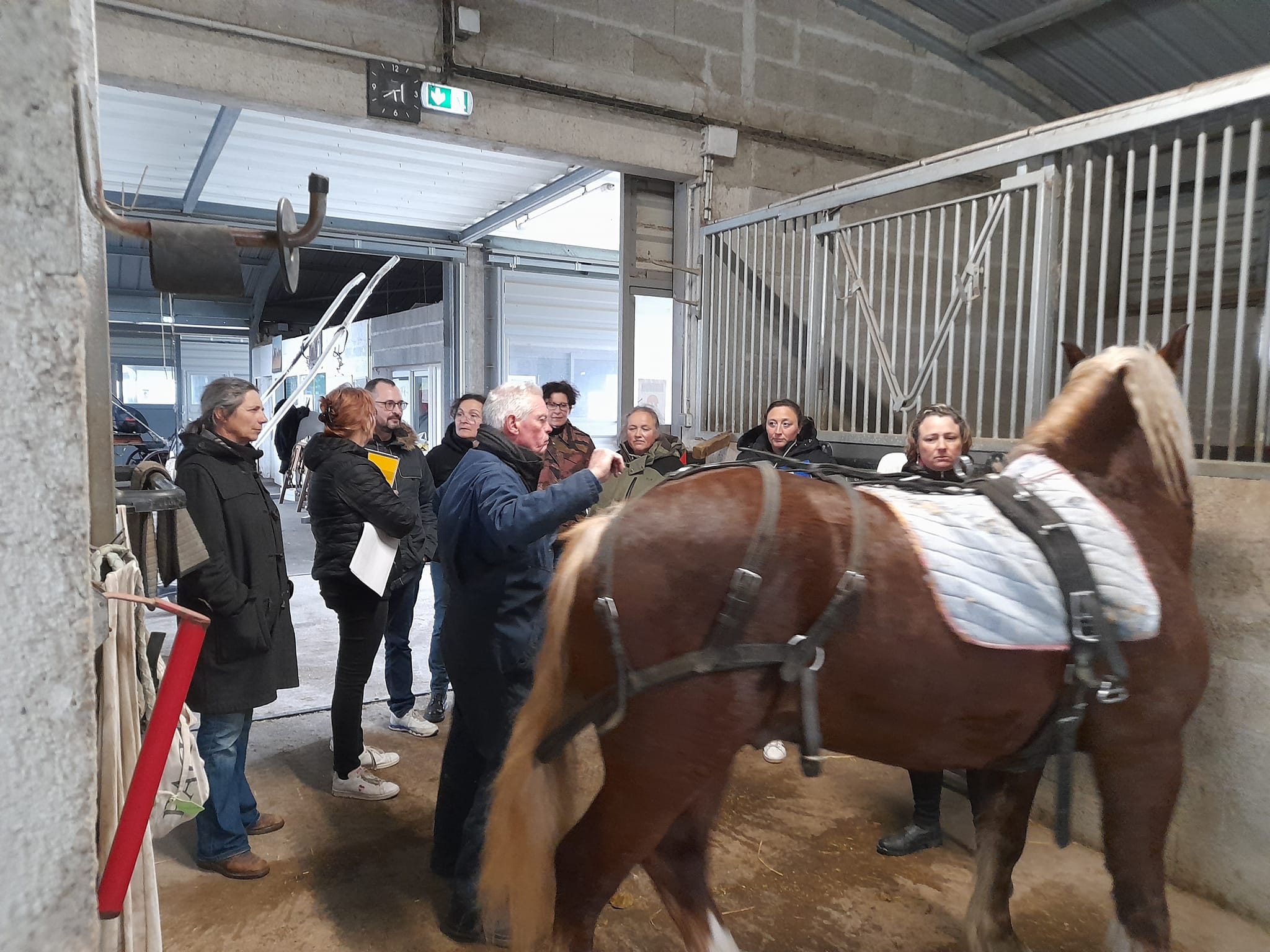 Formation à Educavert "Démarches Qualit'Equidés : améliorer ses pratiques et la conduite de son exploitation"