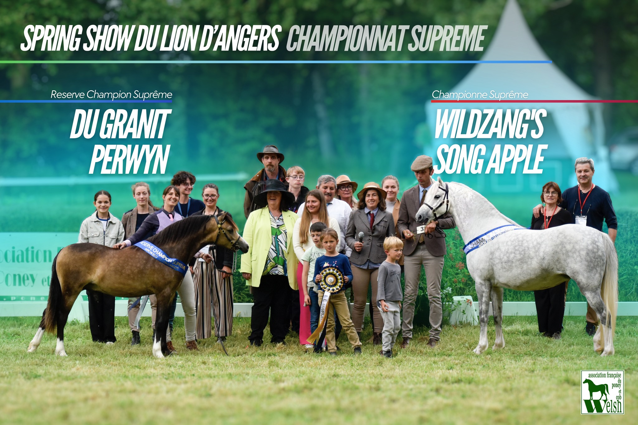 SPRING SHOW WELSH DU LION D’ANGERS – Résultats