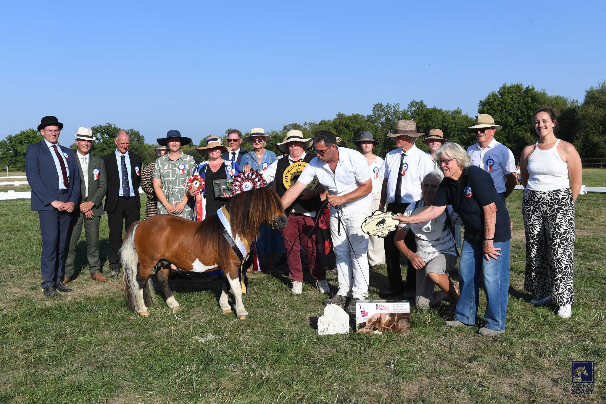 L'International Shetland Pony Show au Pôle du Cheval et de l'Âne