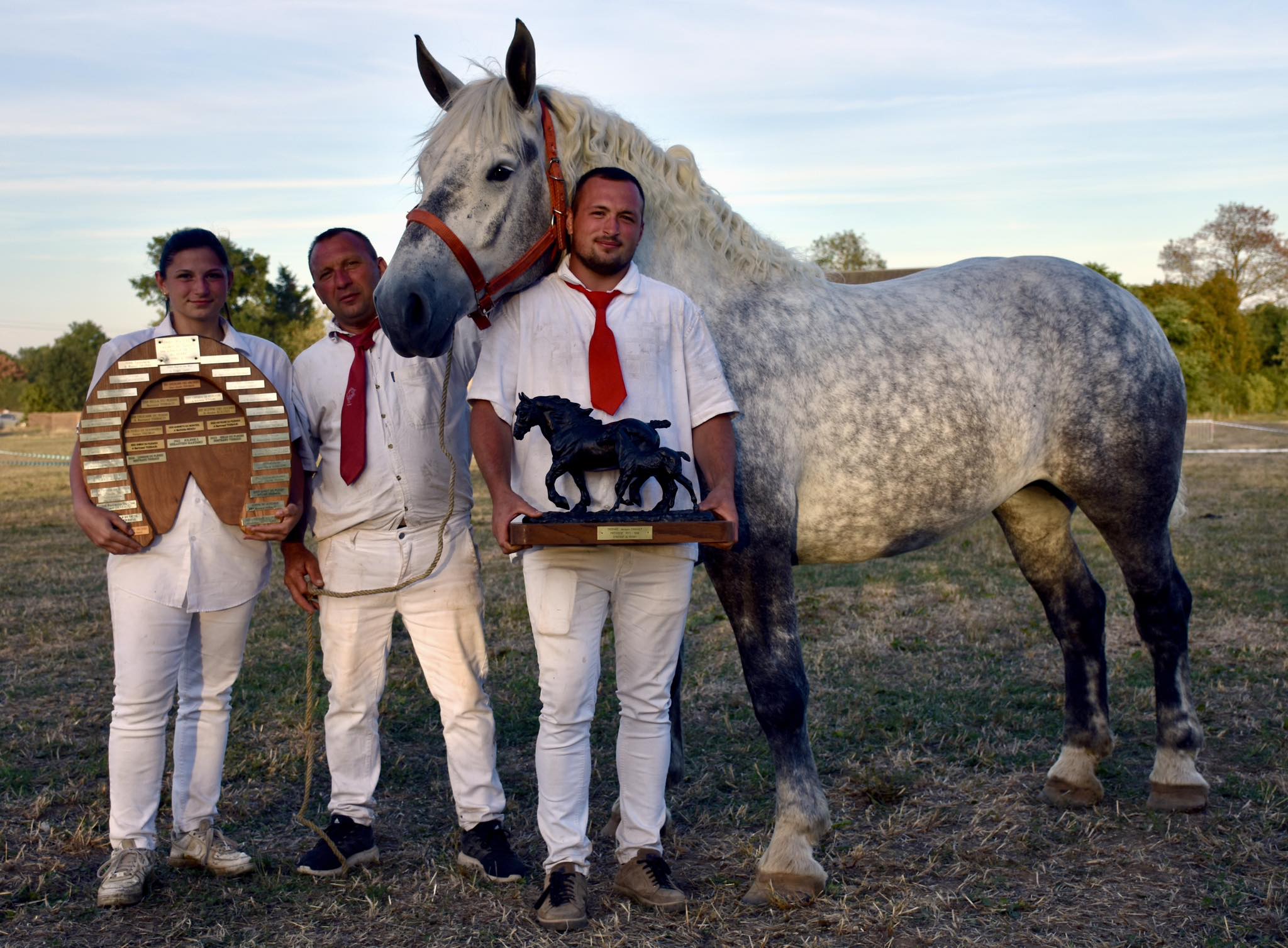L'élevage du Plessis remporte le Trophée Régional au modèle et allures régional Percheron