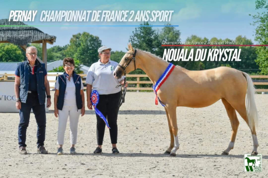 Ils ont brillé cet été