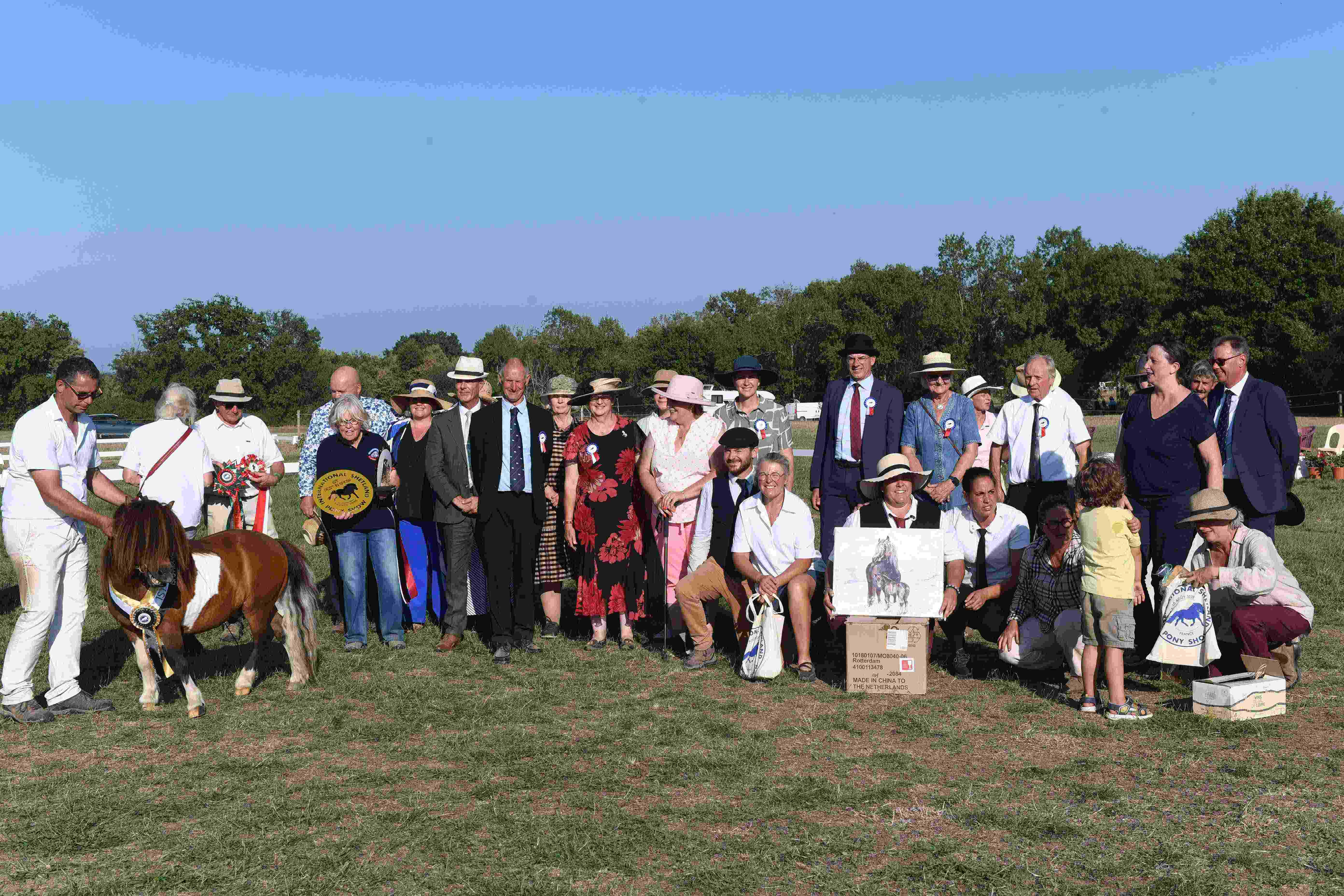 L'International Shetland Pony Show au Pôle du Cheval et de l'Âne
