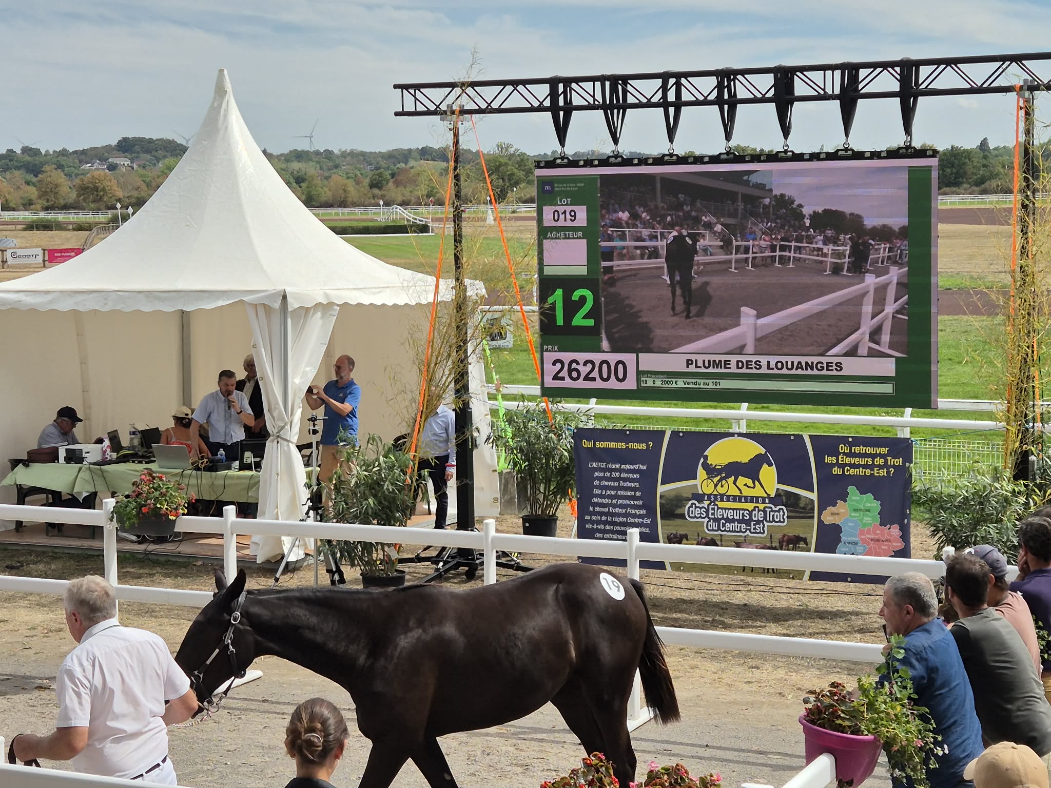 une belle vente aux enchères de jeunes trotteurs sur l'hippodrome de Lignières en Berry