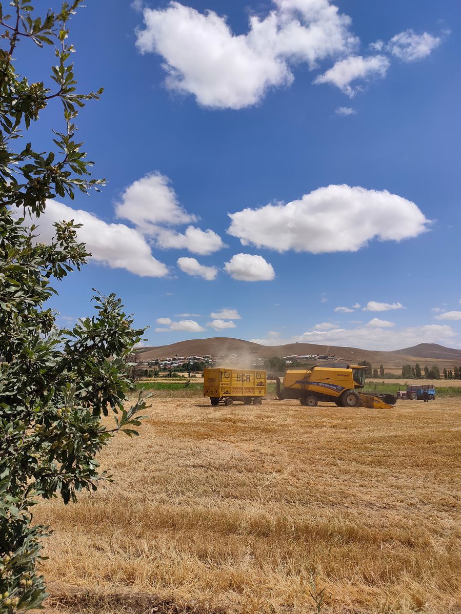 Fonds de réarmement agricole. Plan CASI (canicule, sécheresse, incendie)