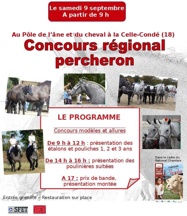 Concours régional Percherons lors du National Charolais