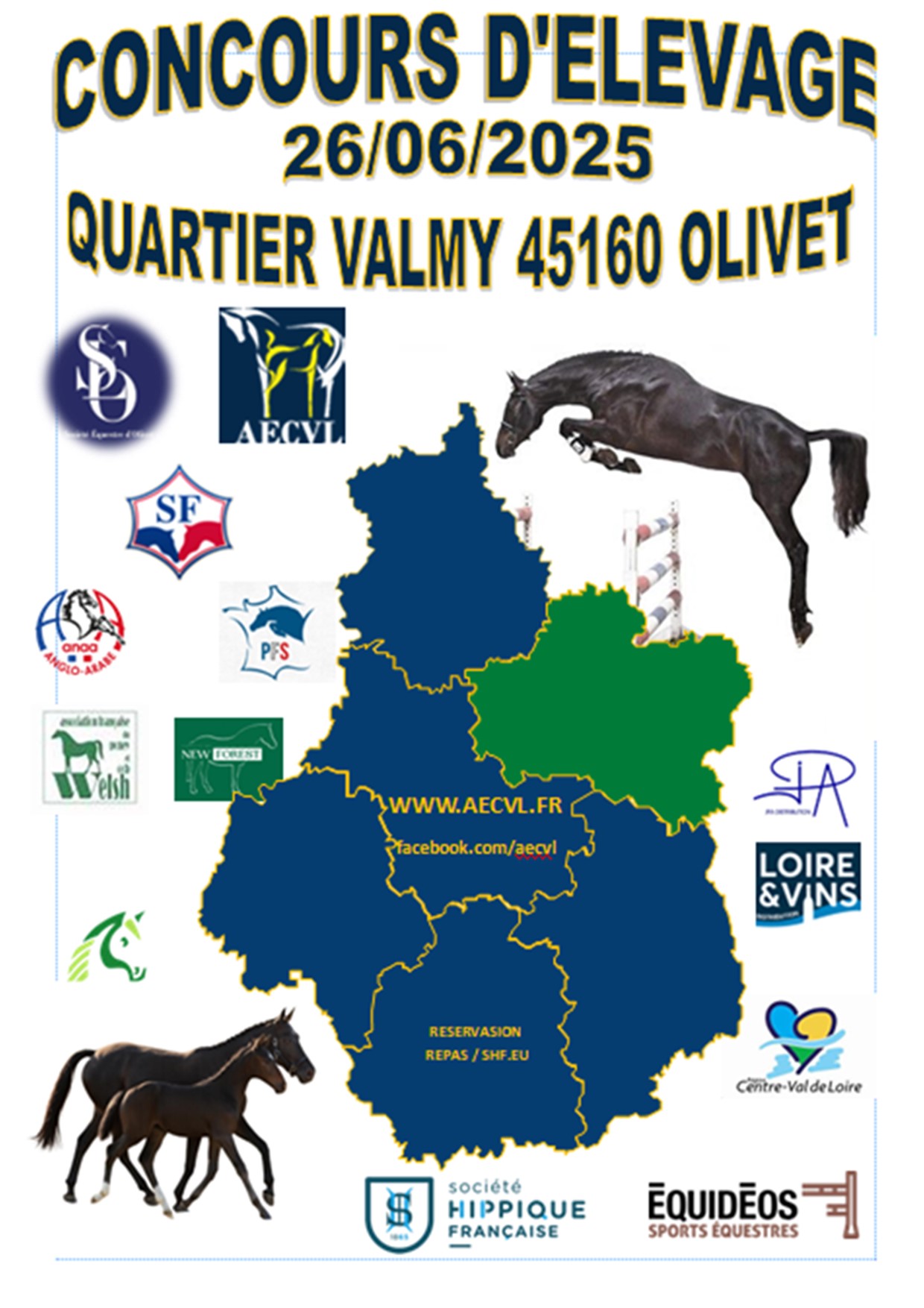 Concours modèle et allures Olivet
