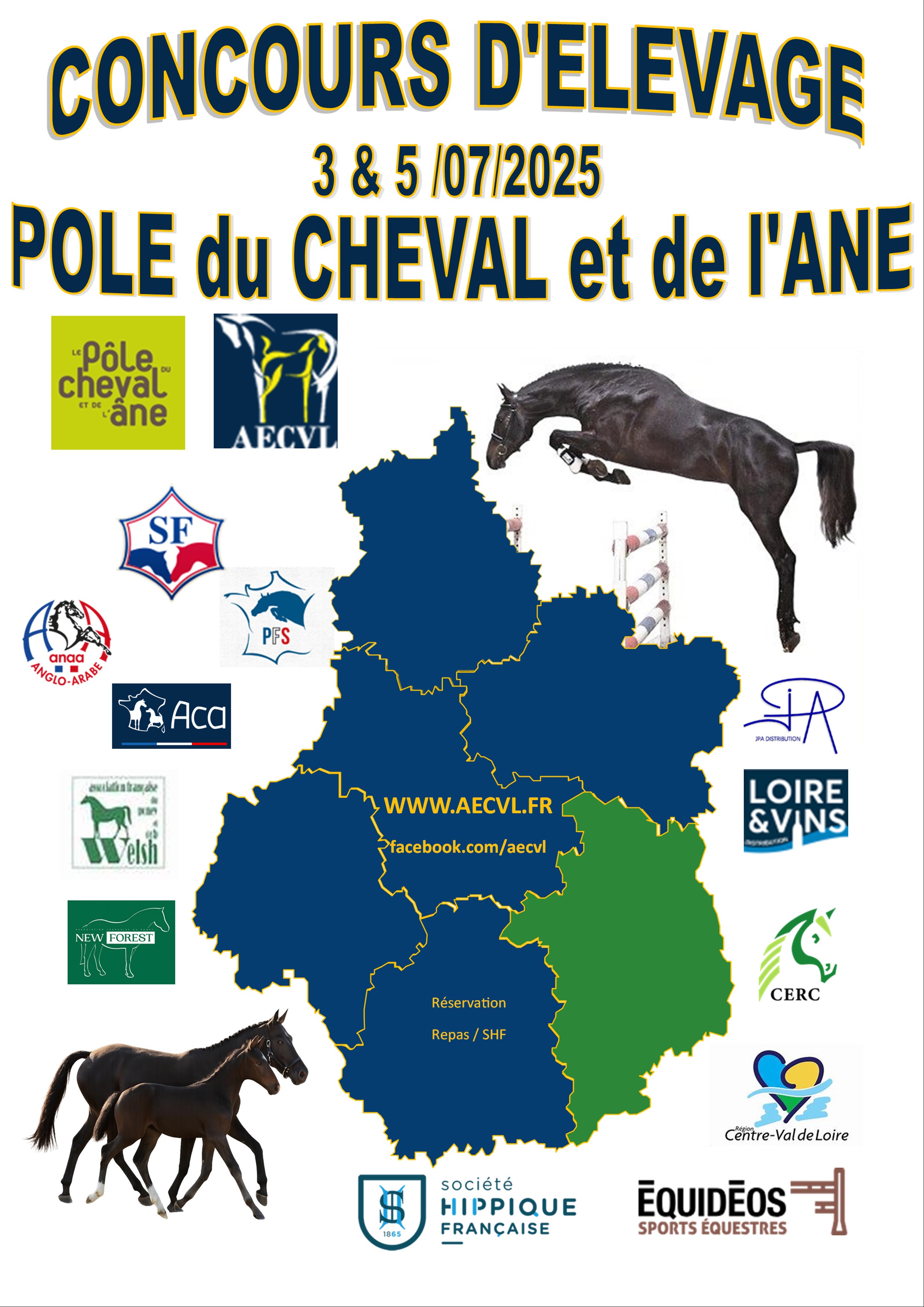 Concours modèle et allures Lignières AECVL