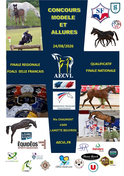 concours régional foals