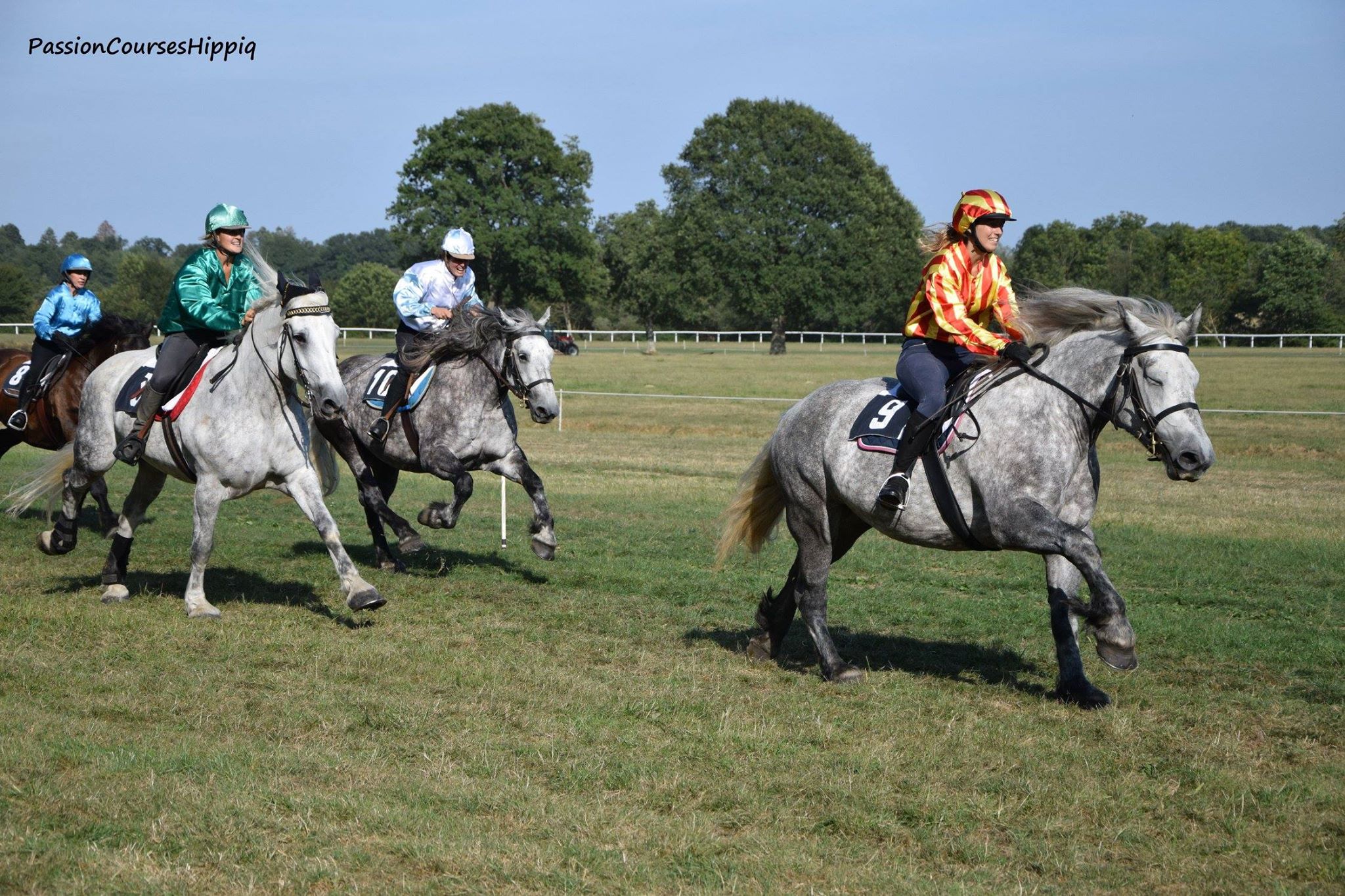 Retrospective de la Course de Percherons sur l'hippodrome de la Ferté Vidame