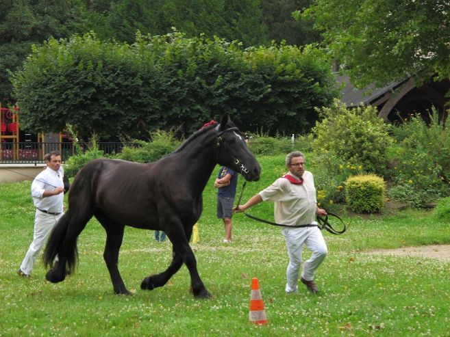 Le manoir du Bois Joly à Margon accueillera une sélection nationale de chevaux percherons le 26 janvier 2018