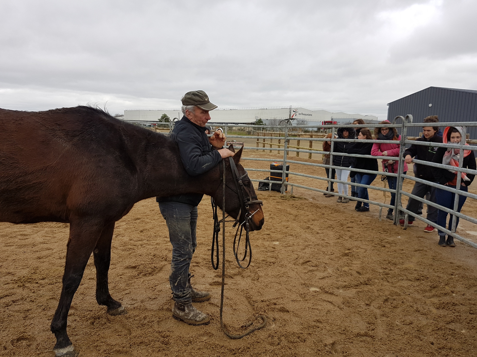 "Travailler, éduquer et manipuler les chevaux en sécurité" par Pierre BLIN à la MFR de Noyant de Touraine