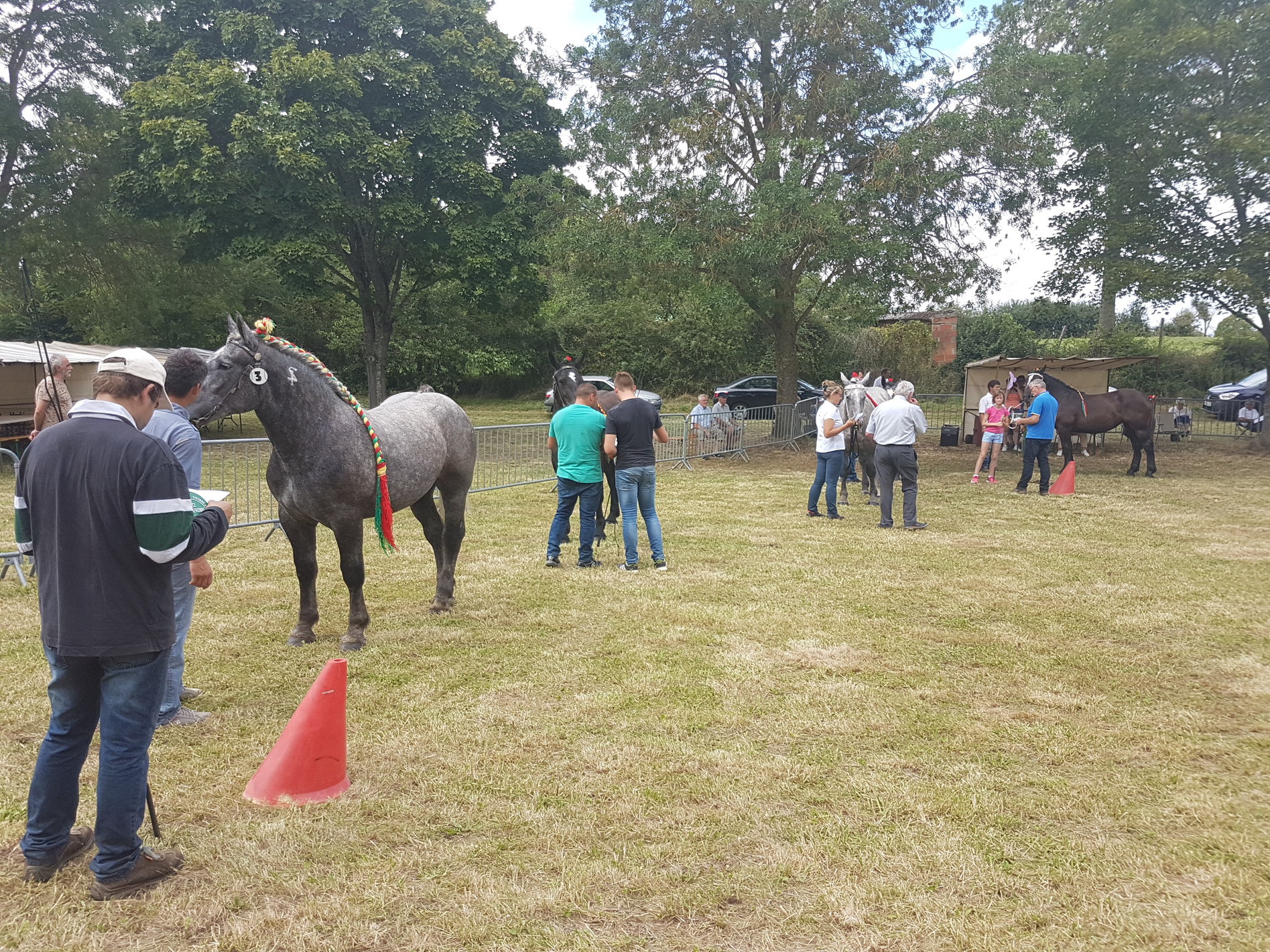 Concours Modéle et allures Percherons à Neuvy Saint Sépulcre