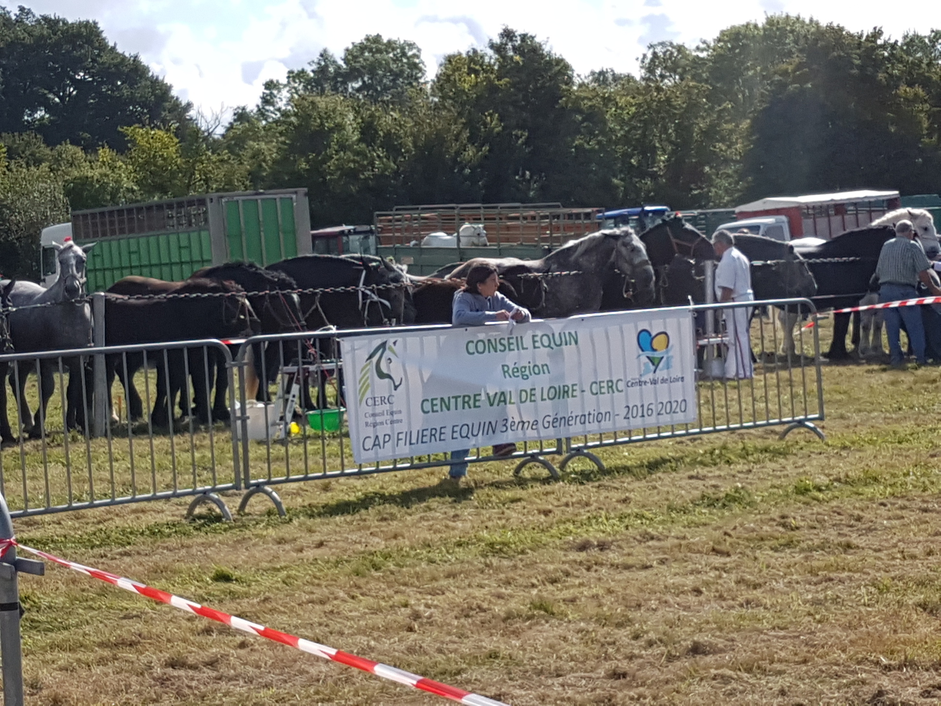 Concours modèle et allures Régional Percherons à la Berthenoux