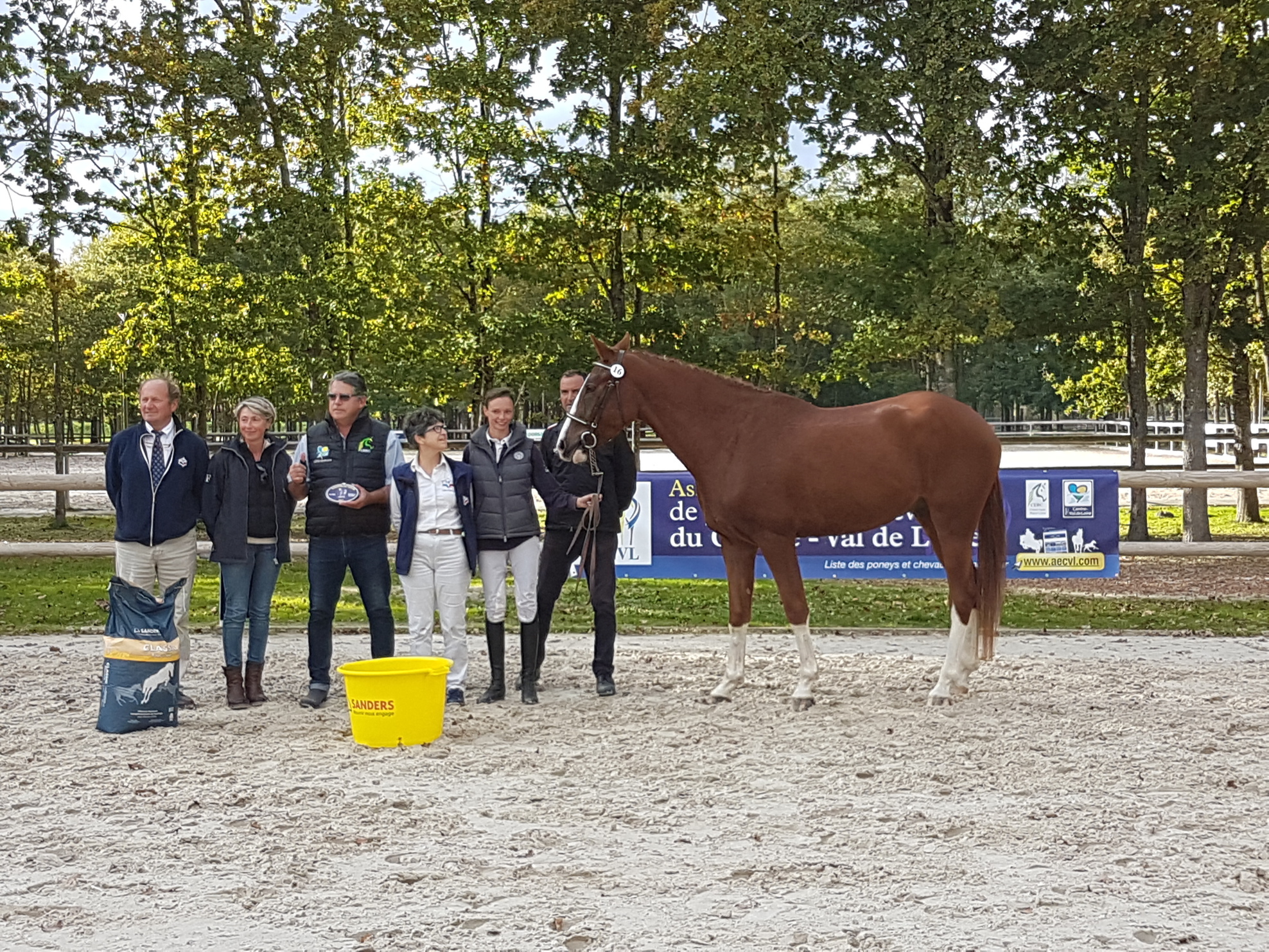 Concours régional modèle et allures 3 ans chevaux de sport