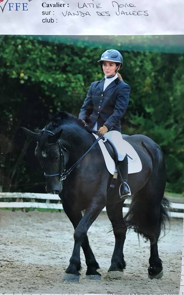 Un Percheron en concours de dressage aux Ecuries du Val de L'Eure