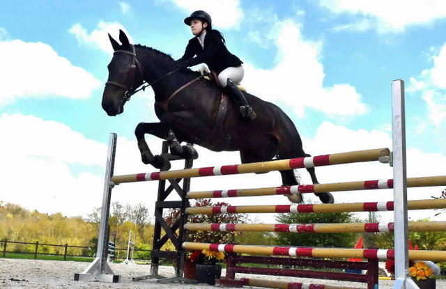 BLOIS - Grand Régional Hunter