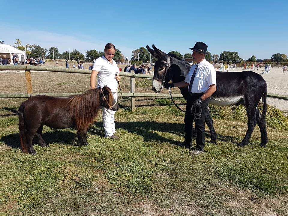 Un grand rassemblement équestre pour la Rentrée des Class à Lignières les 16 et 17 septembre