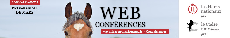 Les Web-Conférences de l'IFCE - janvier 2018