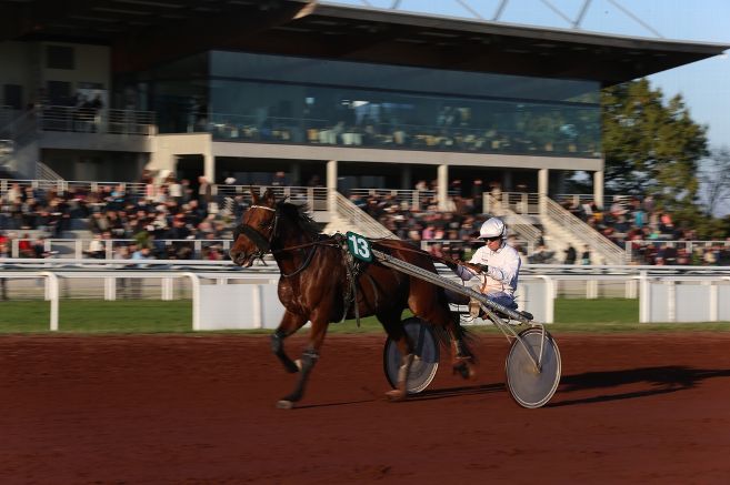 Hippodrome de LIGNIERES : calendrier des courses 2018 avec deux nouvelles courses au programme