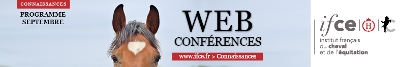 Les Web conférences de l'IFCE