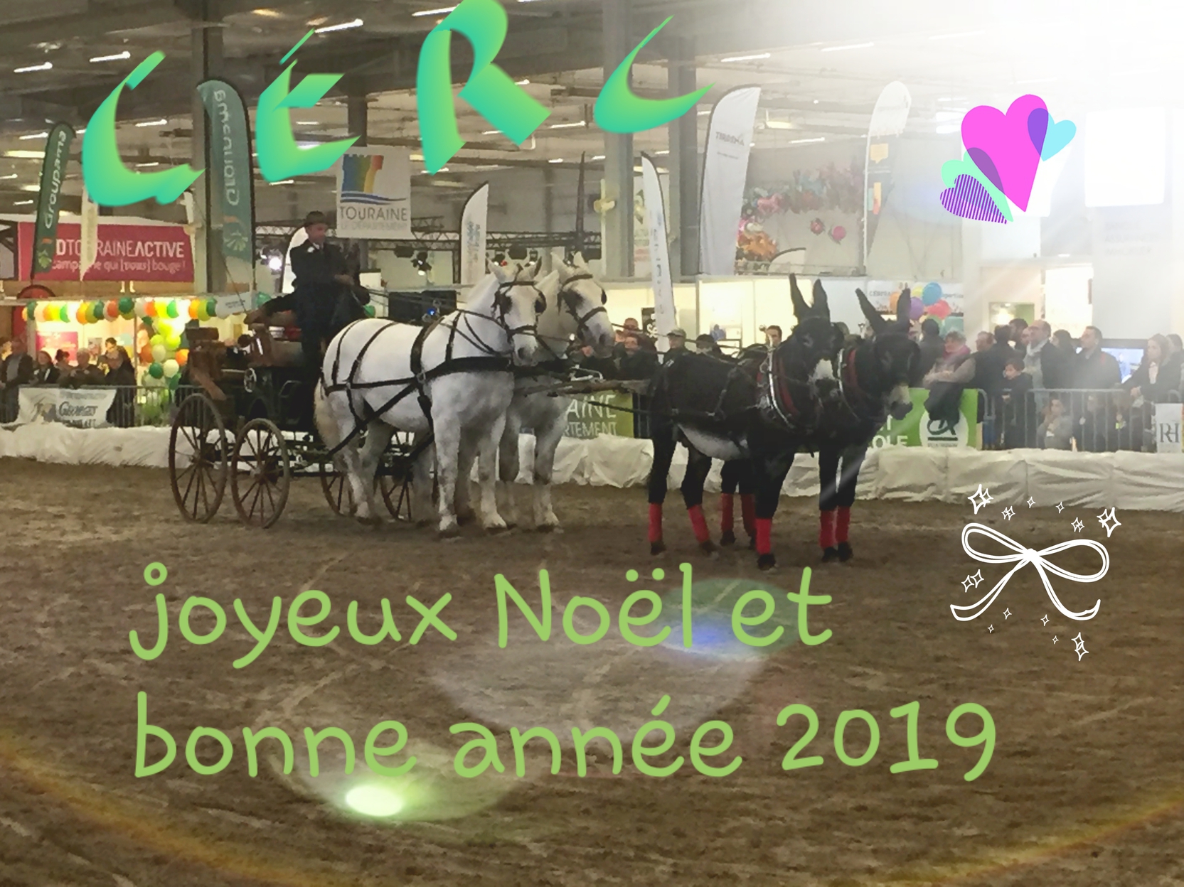 Joyeuses Fêtes et bonne Année 2019