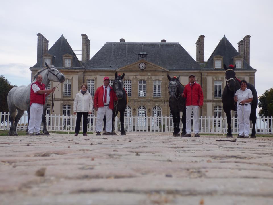 "Les éleveurs des chevaux de trait du Berry" au National Percheron au Hars du Pin