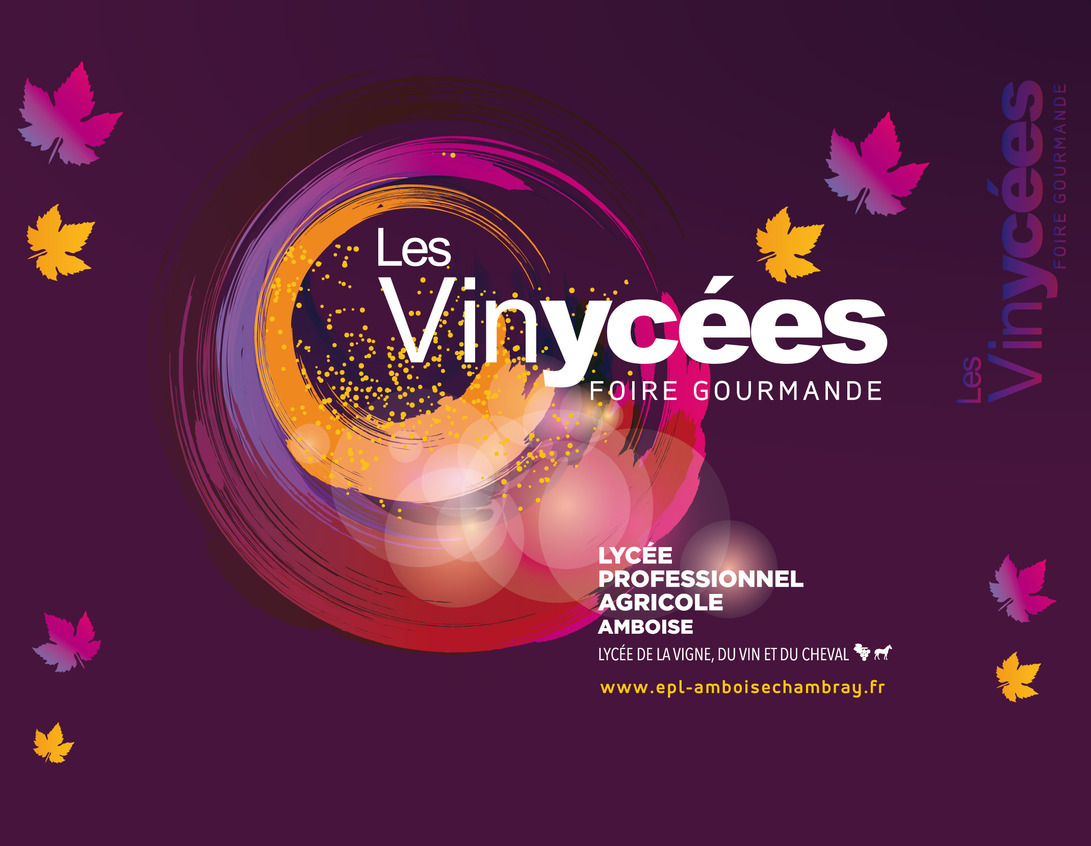 23ème vinycées au LPA d'Amboise avec la participation des ânes Grands Noirs du Berry et de l'IFCE les 18 et 19 mars