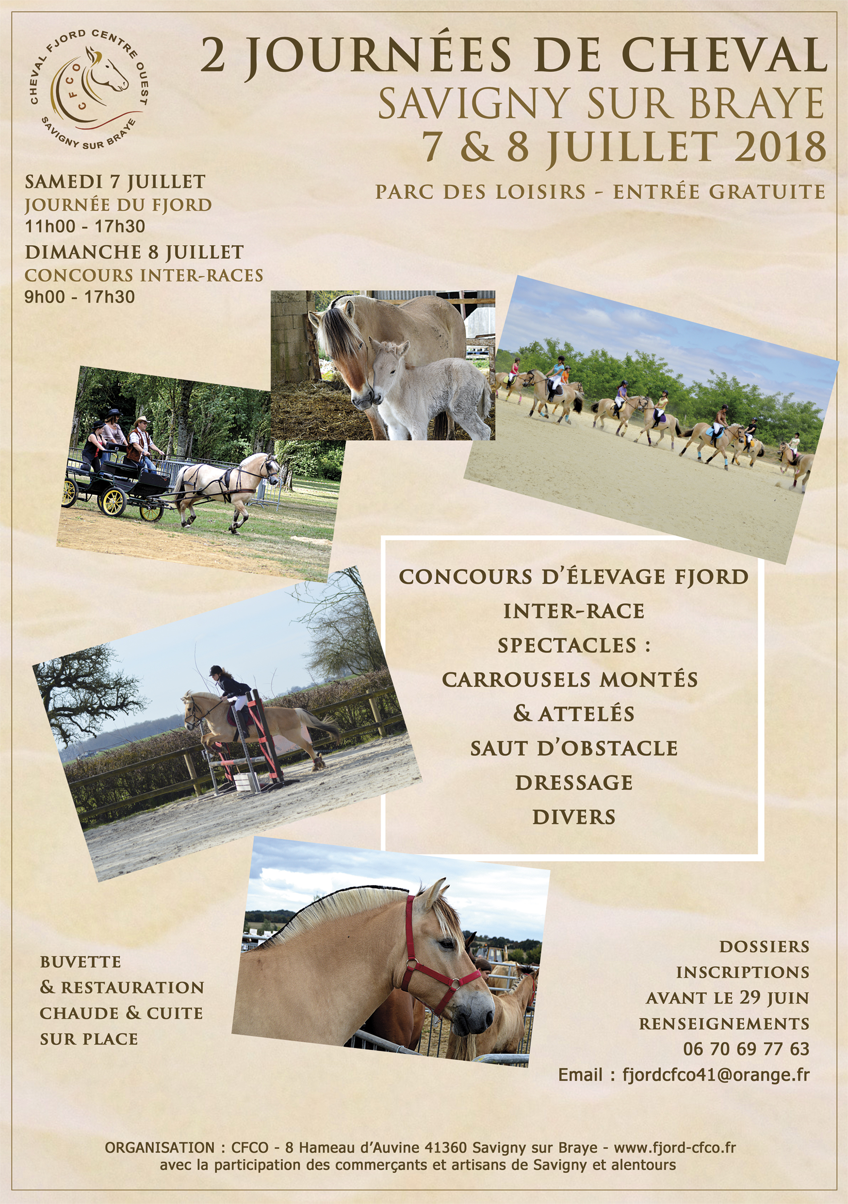 les 7 et 8 juillet à Savigny sur Braye - journées cheval organisées par le CFCO (cheval Fjord centre ouest)