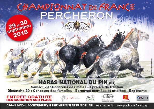 Championnat de France Percherons