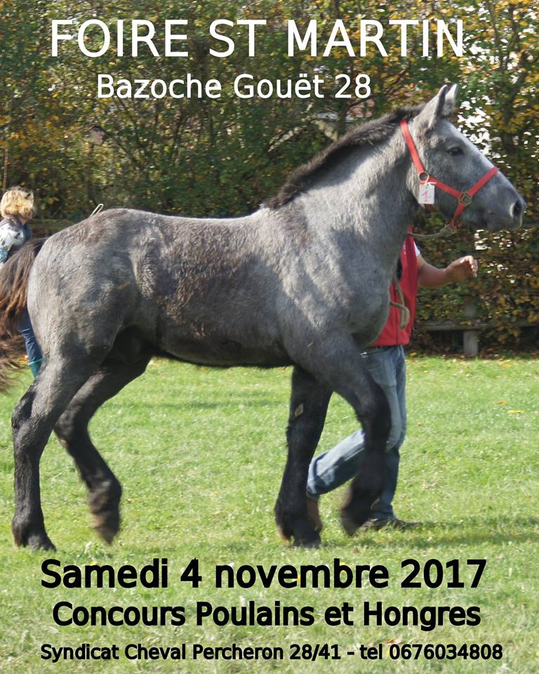 Percherons : Foire de laSaint Martin à la Bazoches Gouet