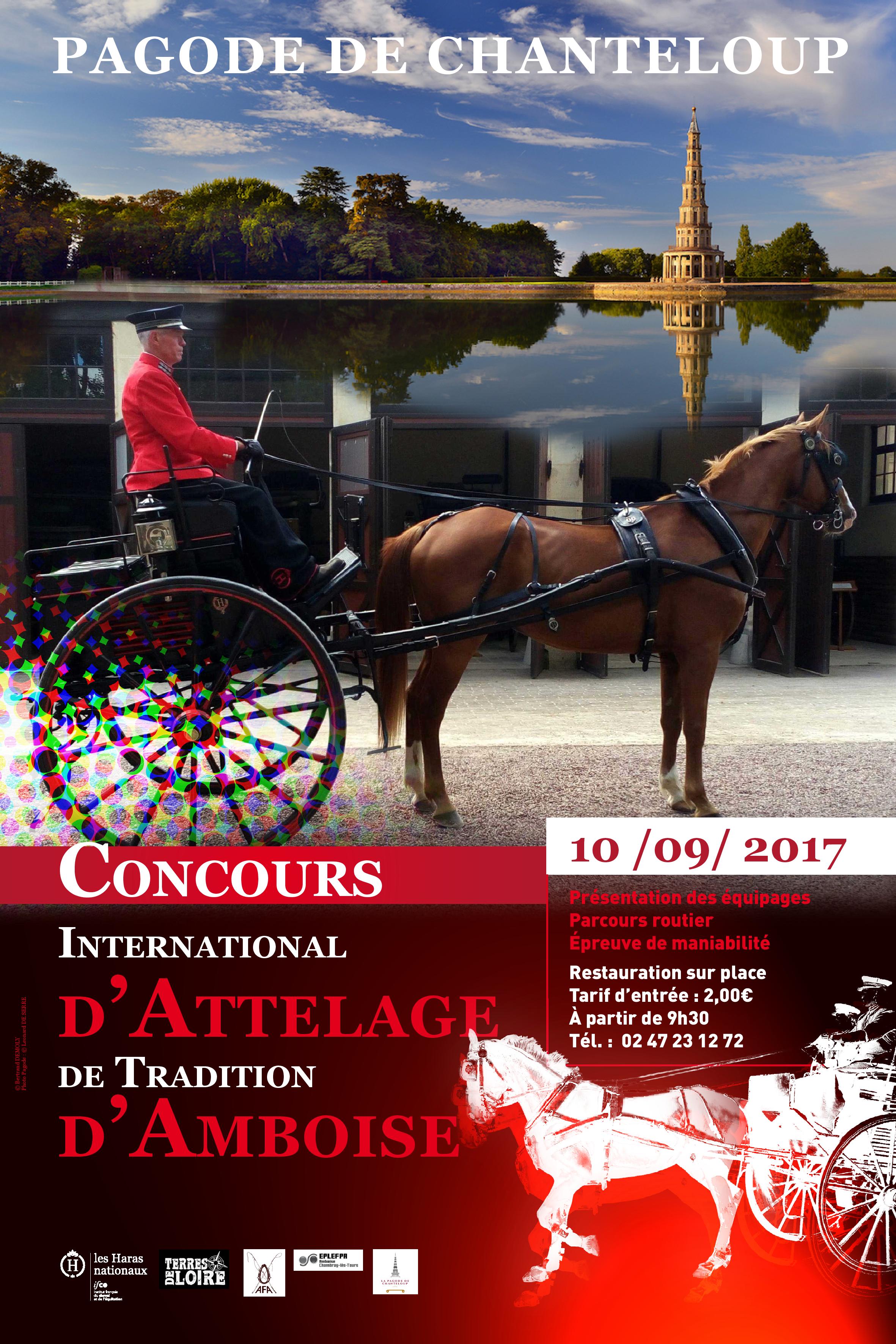 Concours international d'attelage de tradition