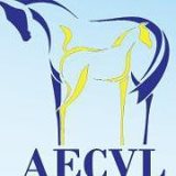 Calendrier des concours modèle et allures AECVL