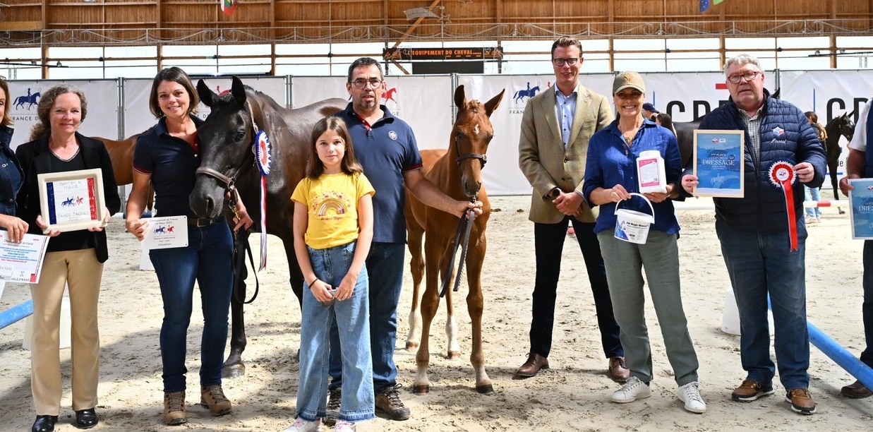 Paco Rabanne 'tee (kjento x nina ricci) remporte le titre de champion de France des foals mâles 2025 dressage  Karine Gounot    bis